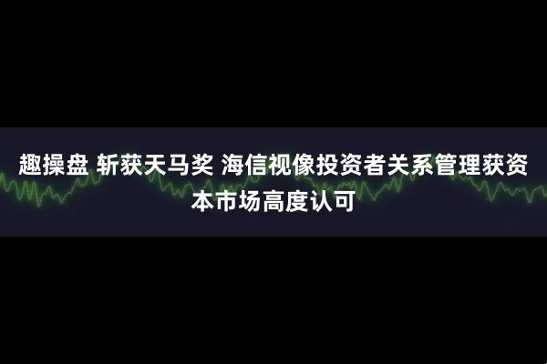 趣操盘 斩获天马奖 海信视像投资者关系管理获资本市场高度认可