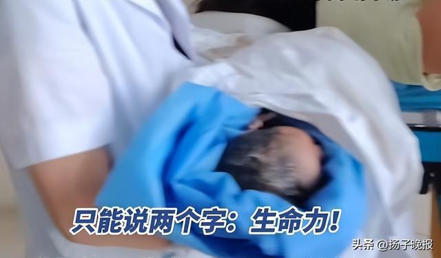 女子从发现怀孕到生产仅用约1小时 生命接力赛顺利完成