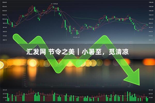 汇发网 节令之美｜小暑至，觅清凉