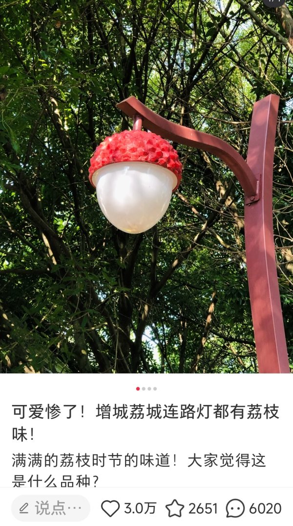 永崋证券 “广东路灯看起来很好吃”？这种“广东特产”火了！