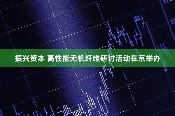 振兴资本 高性能无机纤维研讨活动在京举办