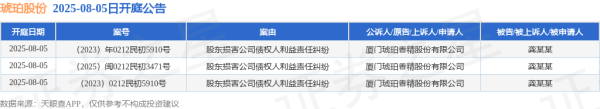 信汇网 琥珀股份作为原告/上诉人的3起涉及股东损害公司债权人利益责任纠纷的诉讼将于2025年8月5日开庭