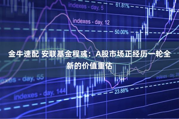 金牛速配 安联基金程彧：A股市场正经历一轮全新的价值重估